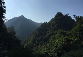 九龙峡冷泉谷景区第 4 张图片