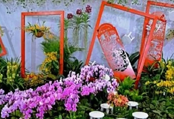 花开盛世·大美合肥春节牡丹花展第 4 张图片