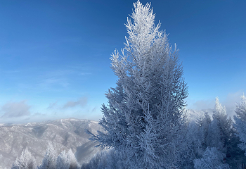 万龙滑雪场第 3 张图片