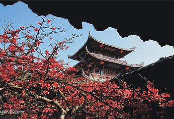 阆中古城第 4 张图片