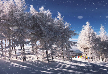 万龙滑雪场第 2 张图片