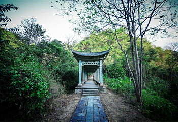 仙门奇峡第 59 张图片