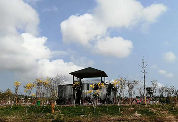 湛江阳光玫瑰葡萄庄园第 2 张图片