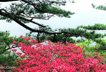 黄柏山国家森林公园第 2 张图片