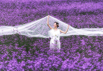 锦绣安仁奇境花园第 9 张图片
