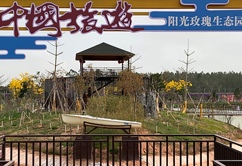 湛江阳光玫瑰葡萄庄园第 10 张图片