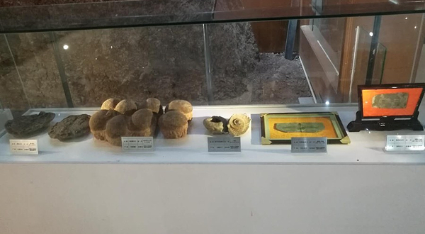 河南汝阳恐龙国家地质公园