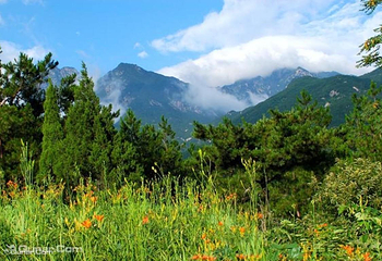 黄柏山国家森林公园第 7 张图片