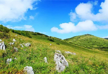凤县紫柏山景区第 17 张图片
