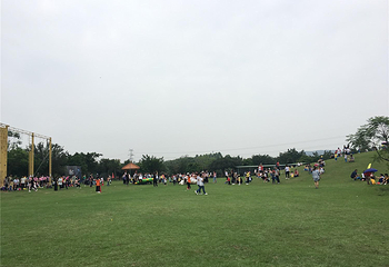 宝桑园第 36 张图片