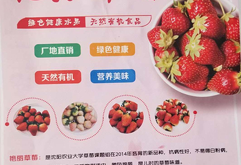 都市农业观光园第 3 张图片