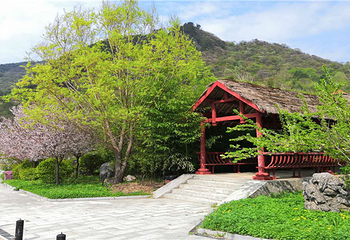 凤县紫柏山景区第 12 张图片