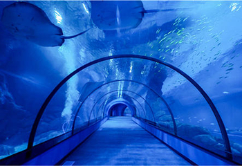 福建天柱山欢乐大世界第 21 张图片