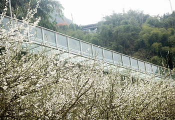 清溪谷旅游区-花田酒地景区第 15 张图片