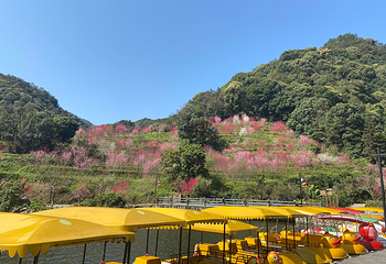 北溪文苑风景区第 9 张图片