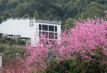 北溪文苑风景区第 19 张图片