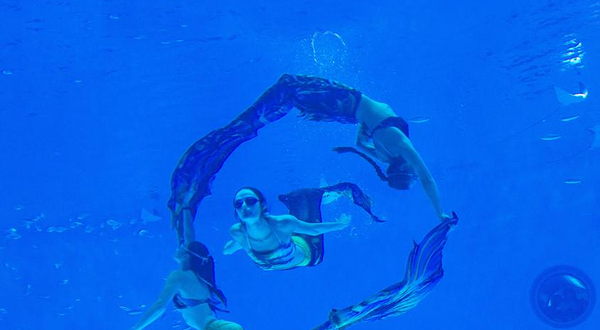 美人鱼表演《人鱼童话》