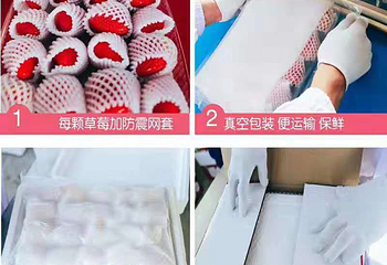 都市农业观光园第 4 张图片