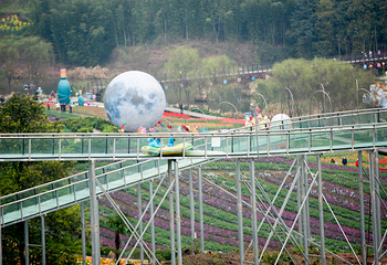 清溪谷旅游区-花田酒地景区第 2 张图片