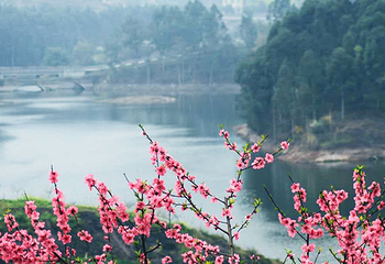 圣水湖桃花岛第 5 张图片
