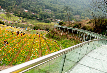 清溪谷旅游区-花田酒地景区第 3 张图片