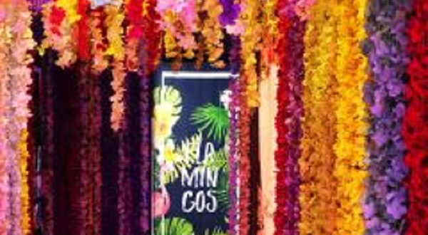 樱花树下体验馆