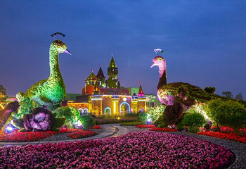 锦绣安仁奇境花园第 4 张图片