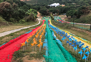 水云山谷第 8 张图片