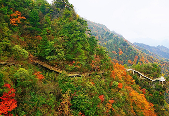 巴山大峡谷第 4 张图片