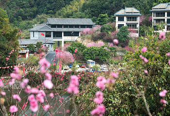 北溪文苑风景区第 13 张图片