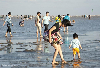 黄金海滩第 25 张图片