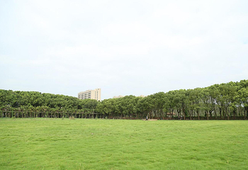 小灶村体验农场第 57 张图片