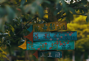 慕藤月鲜花农场第 5 张图片