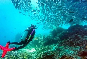烟台清泉海洋(牧场)公园第 4 张图片