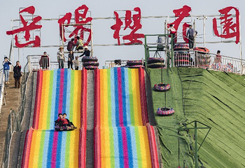 岳阳樱花园第 9 张图片