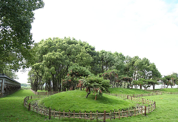 小灶村体验农场第 49 张图片