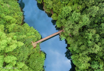 醉山野景区第 2 张图片