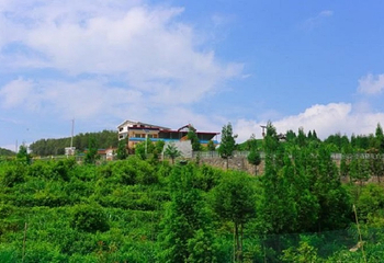螺丝壳茶山第 2 张图片
