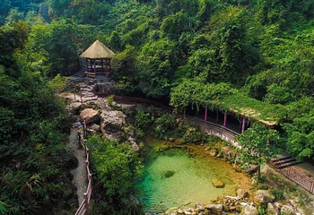 南海湾森林生态园第 4 张图片