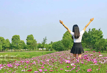 云梦方舟七色花洲第 7 张图片