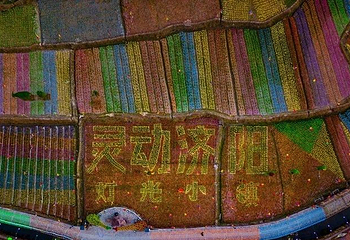 济阳灯光小镇第 1 张图片