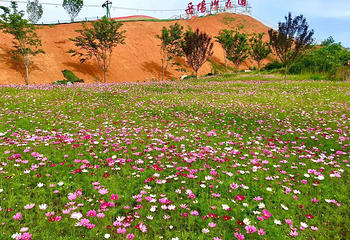 岳阳樱花园第 3 张图片