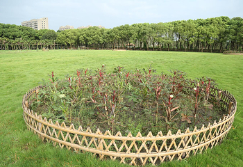 小灶村体验农场第 58 张图片