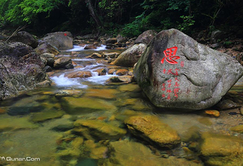 醉山野景区第 3 张图片