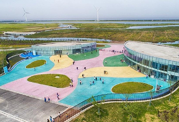 黄金海滩第 18 张图片