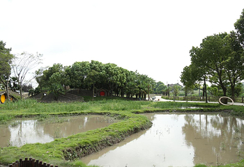 小灶村体验农场第 47 张图片