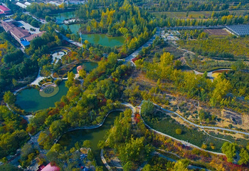 银川森淼生态旅游区第 12 张图片