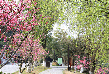 桃花源第 8 张图片