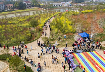 岳阳樱花园第 15 张图片