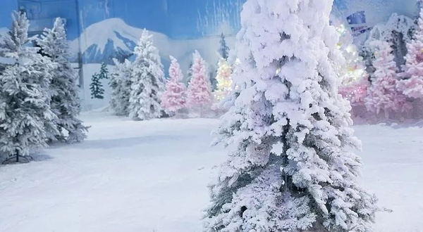 艾瑞克冰雪仙境乐园